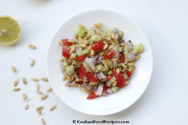 Sprouted Whole Wheat Salad Recipe